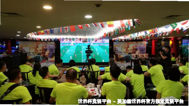 FIFA 中国平台介绍