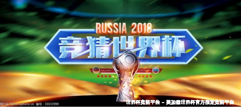 核心团队与专业资质