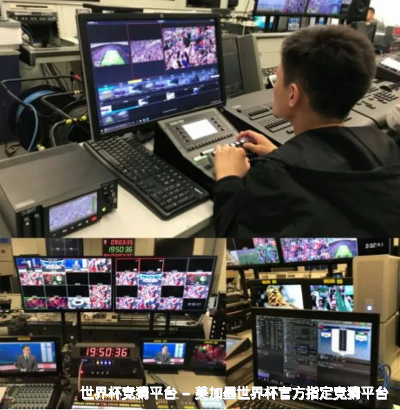 历史命中率展示